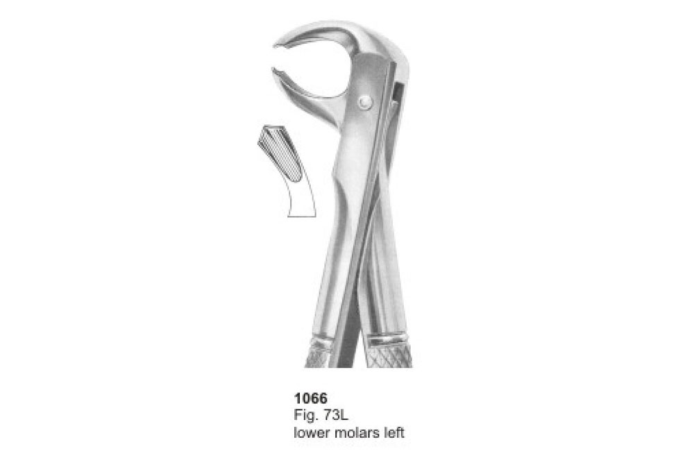 Extracting Forceps