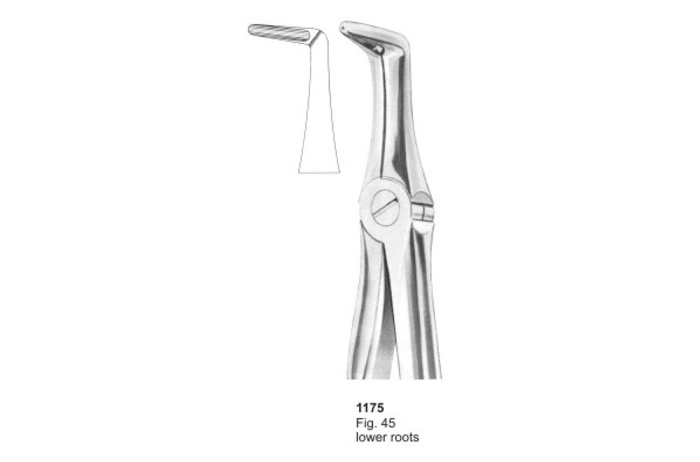 Extracting Forceps